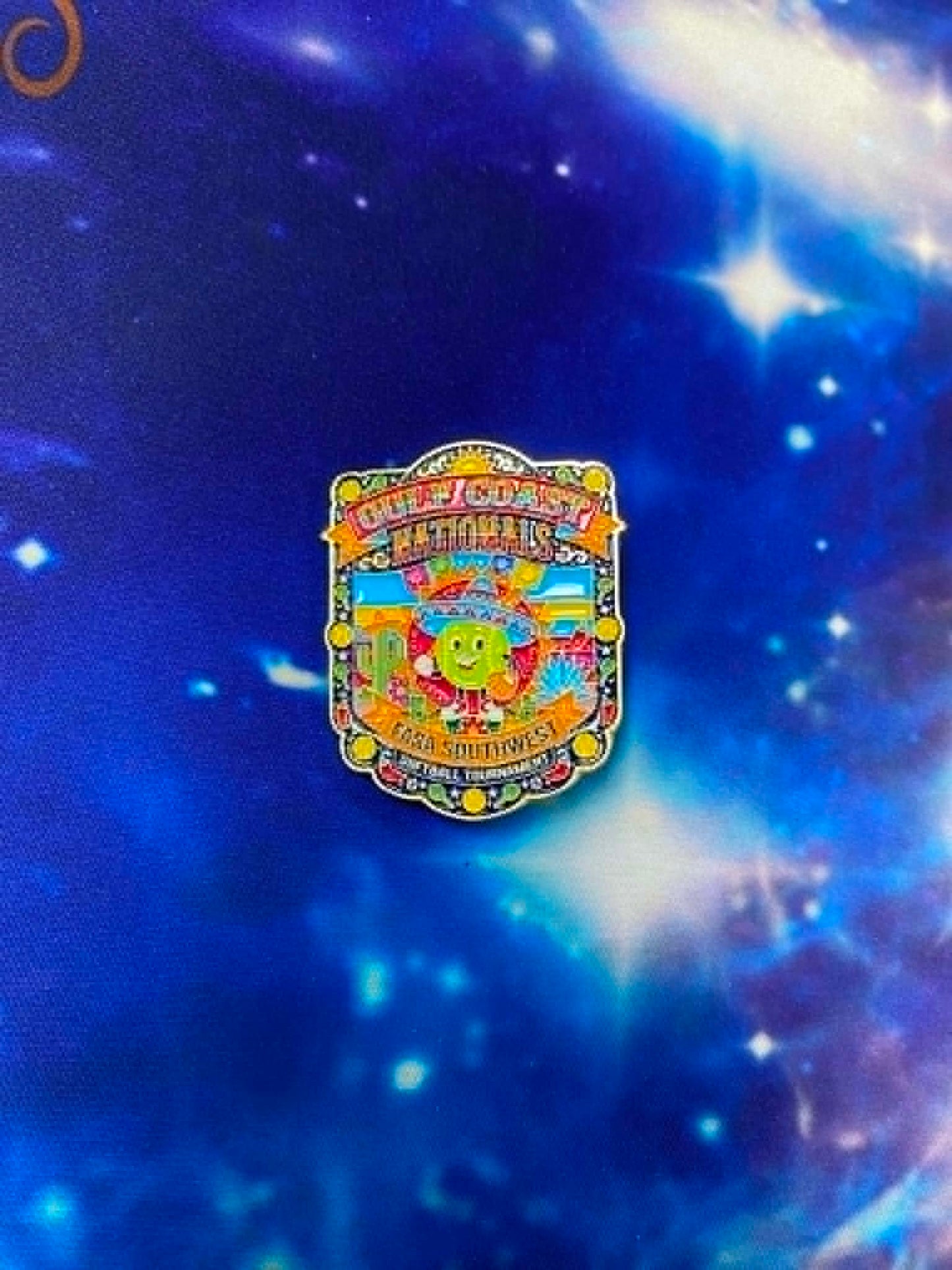 FASA Southwest Gulf Coast Galveston National -Trading Pins